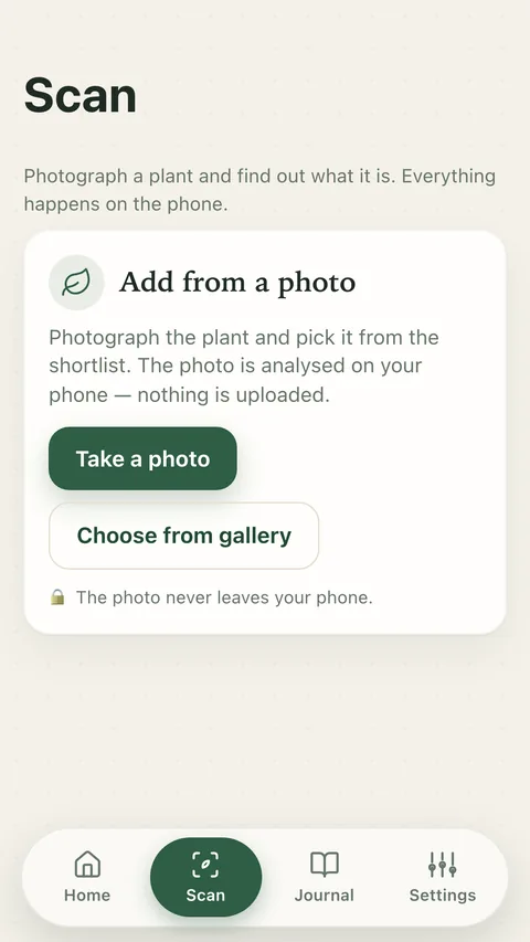 Photograph the plant and pick it from the shortlist. The photo is analysed on your phone — nothing is uploaded.